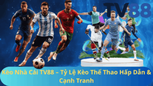 Kèo Nhà Cái TV88 – Tỷ Lệ Kèo Thể Thao Hấp Dẫn & Cạnh Tranh