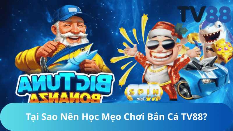 Tại Sao Nên Học Mẹo Chơi Bắn Cá TV88?